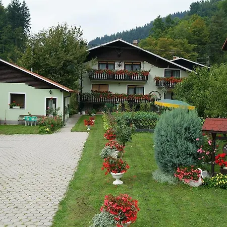 Zeleni Apartma Apartment *