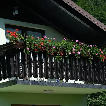 Apartment Zeleni Apartma *