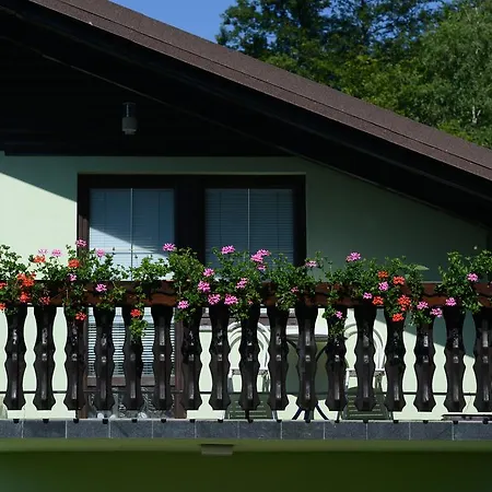 Apartment Zeleni Apartma
