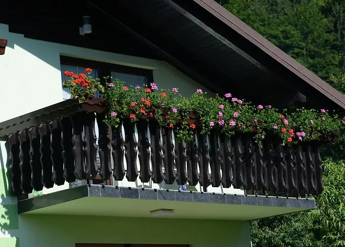 아파트 Zeleni Apartma *