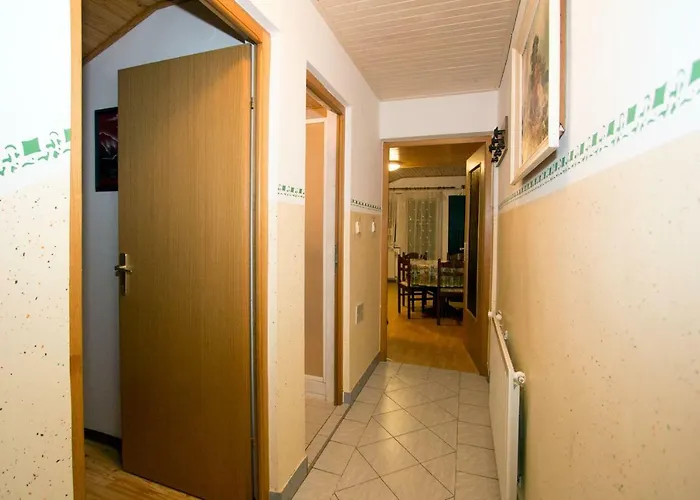 Zeleni Apartma 아파트