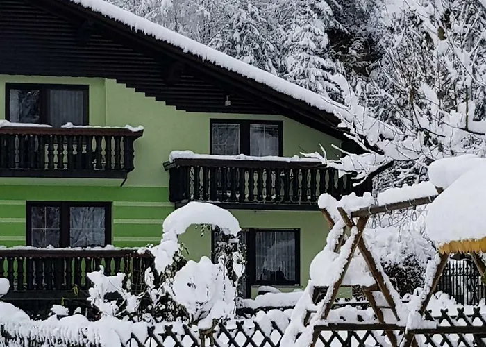 Zeleni Apartma Zreče